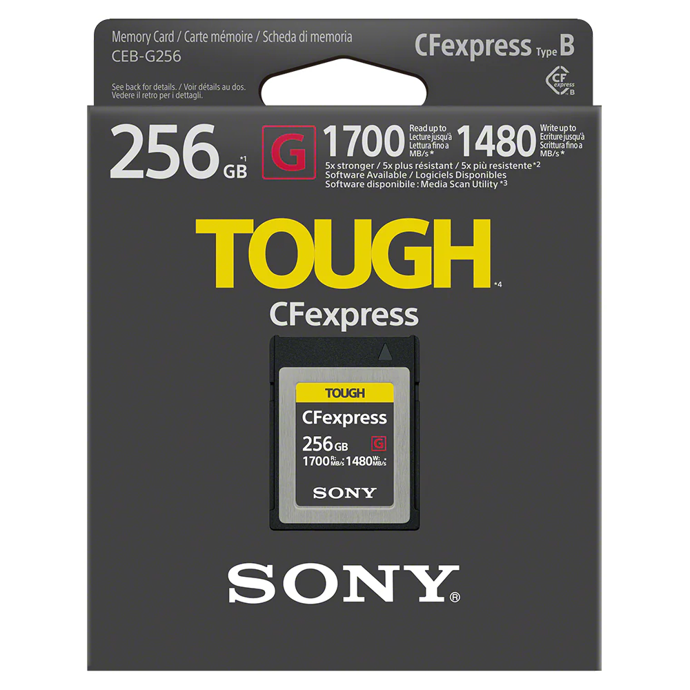 CEB-G Series CFexpress Type B 256 GB Memory Card - Image 2