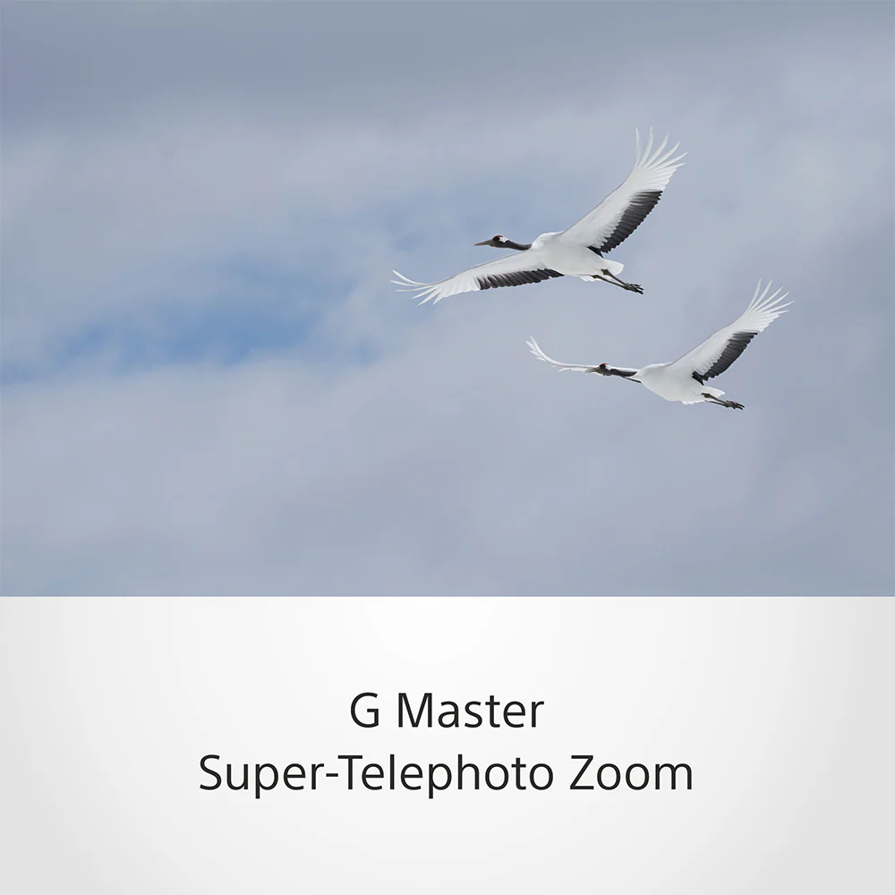 Sony Super telephoto Zoom 100-400mm G Master lens (SEL100400GM) E-Mount Full-Frame - Image 6