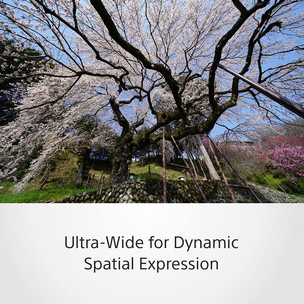 Sony FE 12–24 mm F2.8 GM (SEL1224GM) E-Mount Full-Frame, Ultra-wide-angle Zoom G Master Lens - Image 14