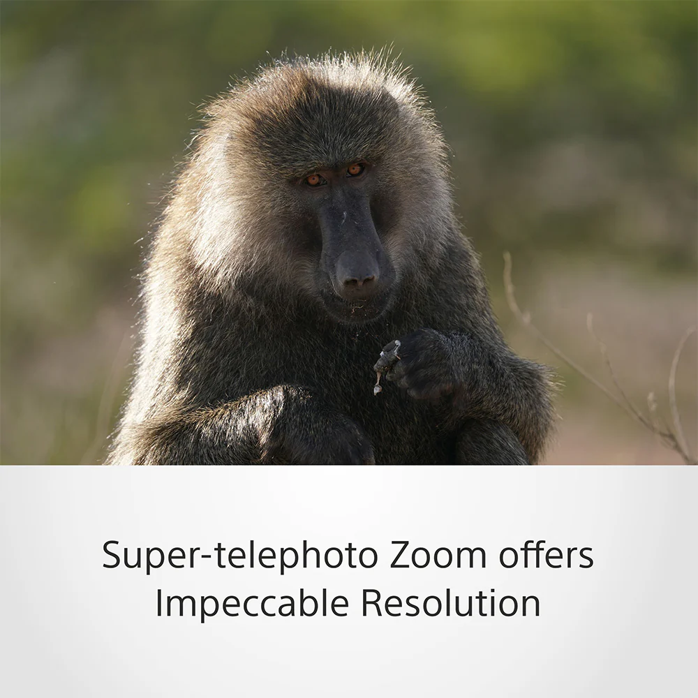 Sony FE 200–600 mm F5.6–6.3 G OSS (SEL200600G) E-Mount Full-Frame, Super-telephoto Zoom G Lens - Image 5