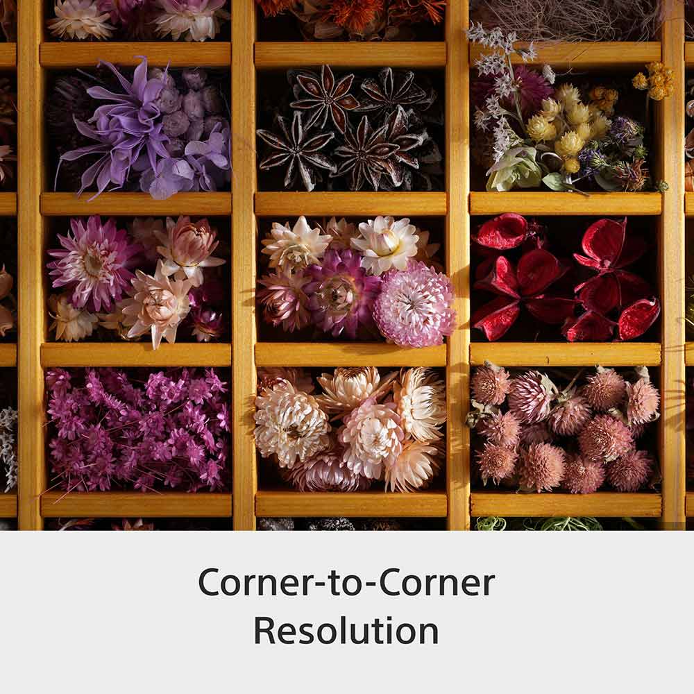 Sony E-mount FE 28-70mm F2 GM Full-Frame Lens (SEL2870GM) I Gorgeous Bokeh I Superb Resolution | Compact and lightweight | Portrait Lens - Black - Image 5