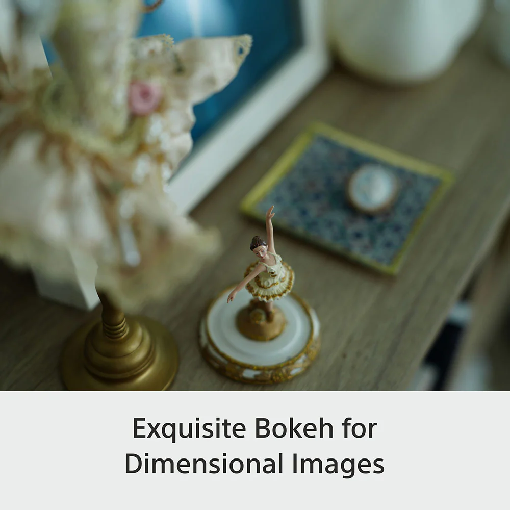 Sony E-mount FE 28-70mm F2 GM Full-Frame Lens (SEL2870GM) I Gorgeous Bokeh I Superb Resolution | Compact and lightweight | Portrait Lens - Black - Image 7