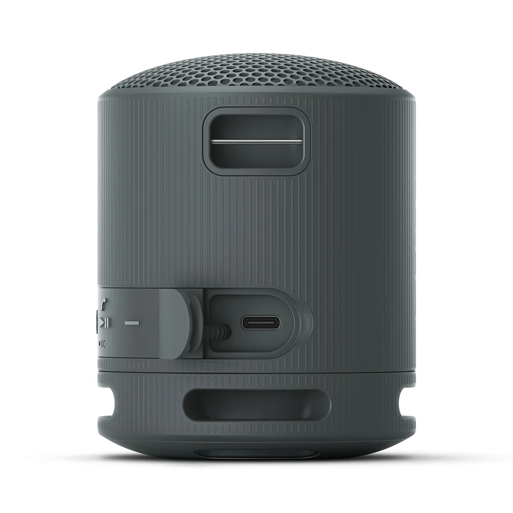 Sony SRS-XB100 Extra BASS Wireless Portable Compact Speaker IP67 Waterproof Bluetooth - Image 11