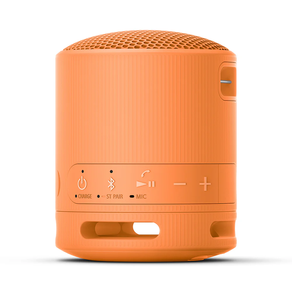 Sony SRS-XB100 Extra BASS Wireless Portable Compact Speaker IP67 Waterproof Bluetooth - Image 17