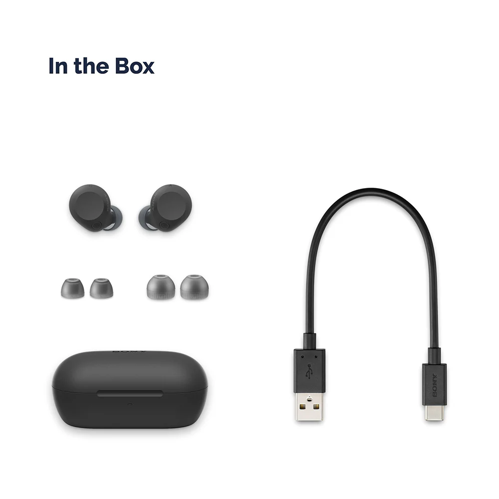 Sony WF-C710N Dual Noise Cancellation Wireless Bluetooth Earbuds with Mic, TWS, High Quality Call with AI, 30 Hrs Battery, Quick Charge - Image 6